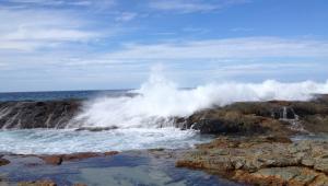 Swim in Champagne Pools Moreton Island